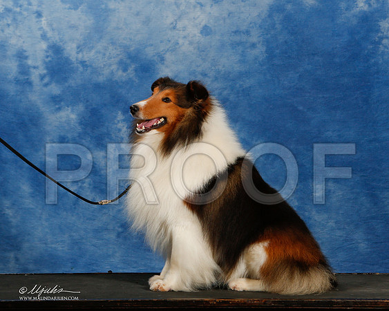 _ST_2028-2-BeltonMay2015-HR3