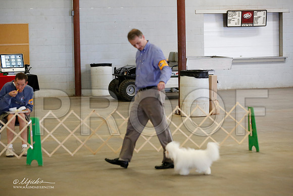 _MJ_3837-BeltonMay2015-HR3