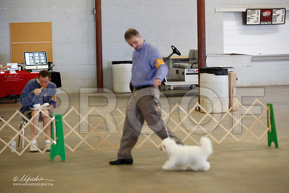 _MJ_3838-BeltonMay2015-HR3