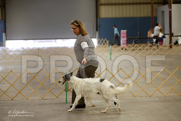 _MJ_2737-BeltonMay2015-HR3