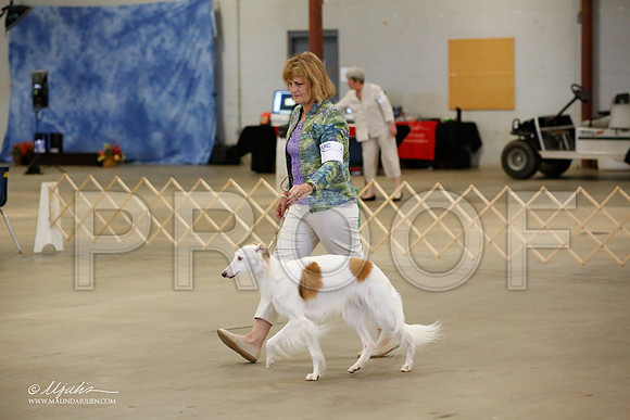 _MJ_2262-BeltonMay2015-HR3