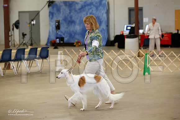 _MJ_2264-BeltonMay2015-HR3
