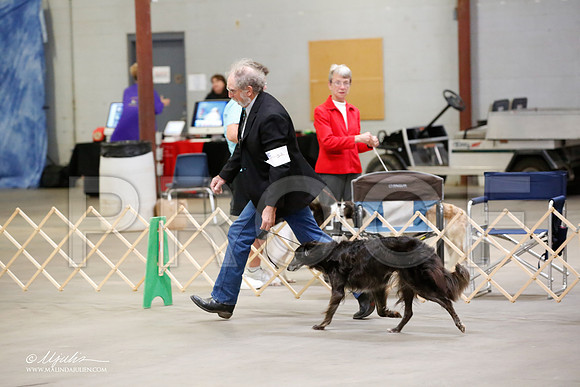 _MJ_3413-BeltonMay2015-HR3