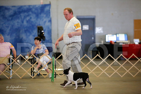 _MJ_4115-BeltonMay2015-HR3