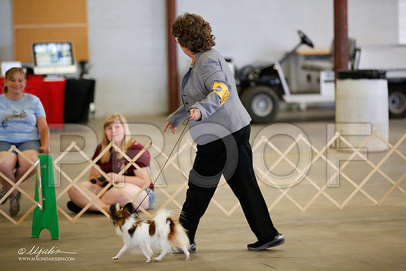 _MJ_4197-BeltonMay2015-HR3