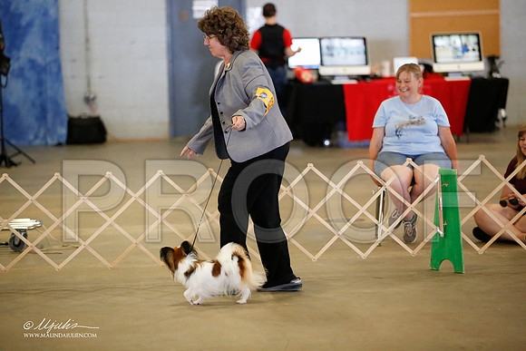 _MJ_4203-BeltonMay2015-HR3