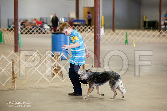 _MJ_4483-BeltonMay2015-HR3