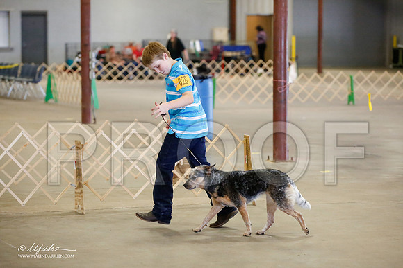 _MJ_4484-BeltonMay2015-HR3