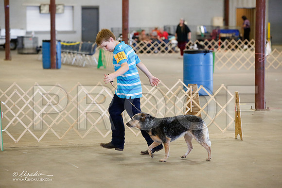 _MJ_4486-BeltonMay2015-HR3