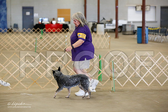 _MJ_4494-BeltonMay2015-HR3