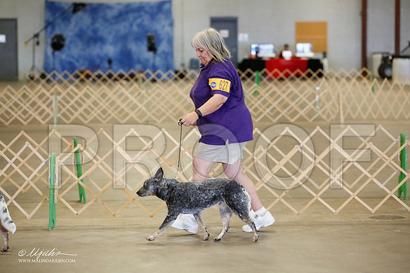 _MJ_4497-BeltonMay2015-HR3