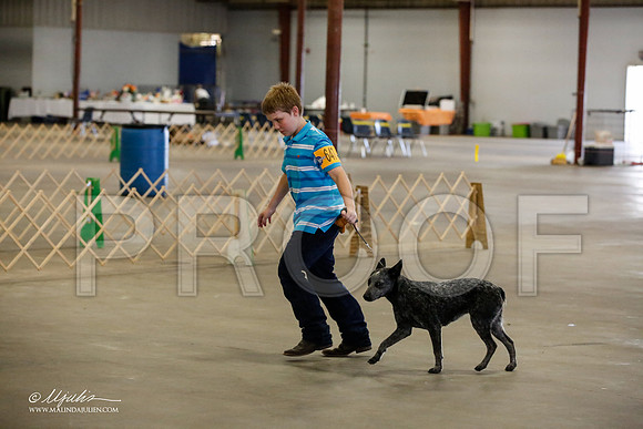 _MJ_5142-BeltonMay2015-HR3
