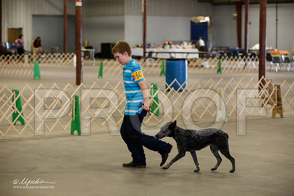 _MJ_5145-BeltonMay2015-HR3