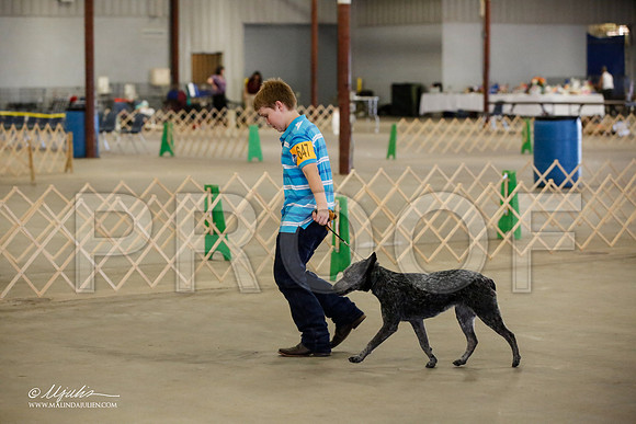 _MJ_5147-BeltonMay2015-HR3