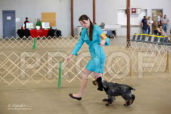 _JJ_6590-BeltonMay2015-HR3