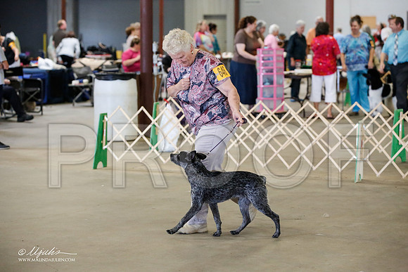 _JJ_7006-BeltonMay2015-HR3
