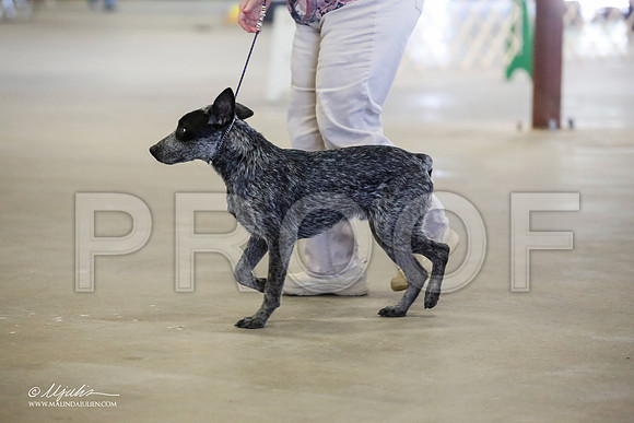 _JJ_7016-BeltonMay2015-HR3