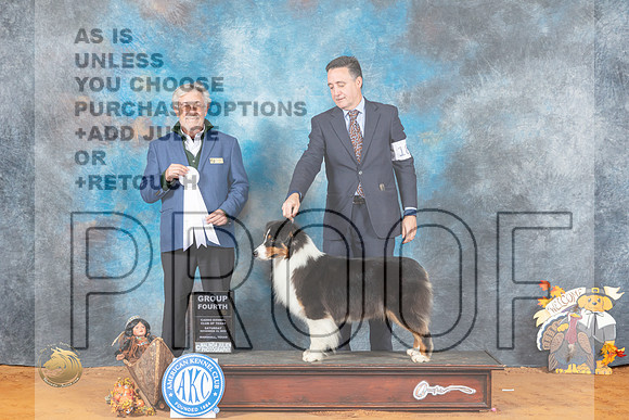Australian Shepherd #18 Sat G4 Judge William Daughtery_MJ_1909_Marshall_2022_HR3