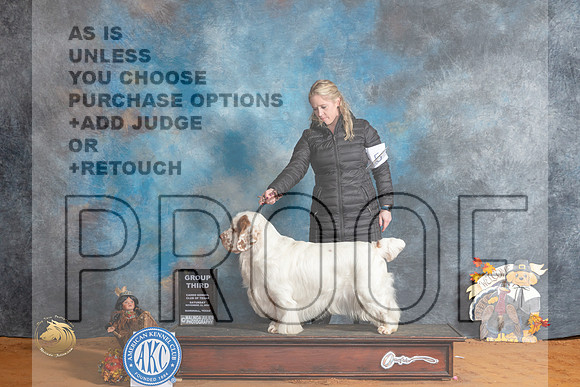 Clumber Spaniel #5 Sat G3 Judge Marissa Clark_MJ_2109_Marshall_2022_HR3