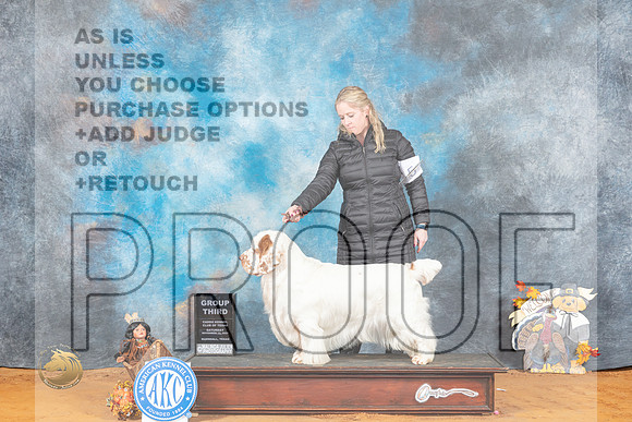 Clumber Spaniel #5 Sat G3 Judge Marissa Clark_MJ_2107_Marshall_2022_HR3