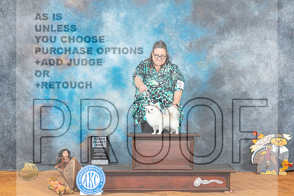 Chihuahua Longcoat #23 Sat SDB Judge Marissa Clark_MJ_1611_Marshall_2022_HR3