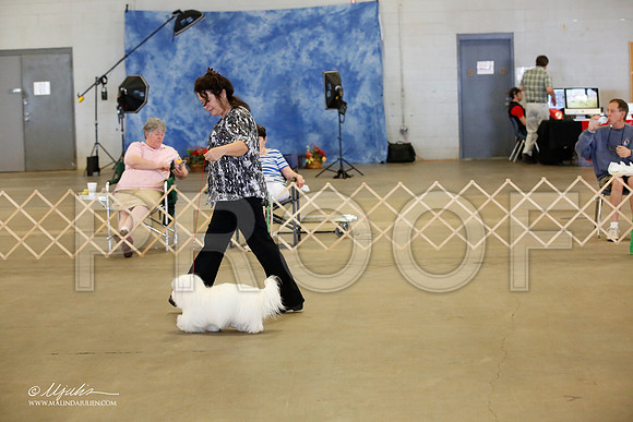 _MJ_3872-BeltonMay2015-HR3