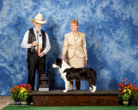 Miller Gerald Barbara Miller Border Collie 6 5 HRD PD PU FT- RH
