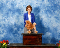 Poodle Toy Shelley Koch Custom 1 HRD PD PU FT