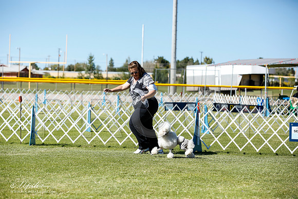 _JN_9397-AlamogordoOct2014-HR3