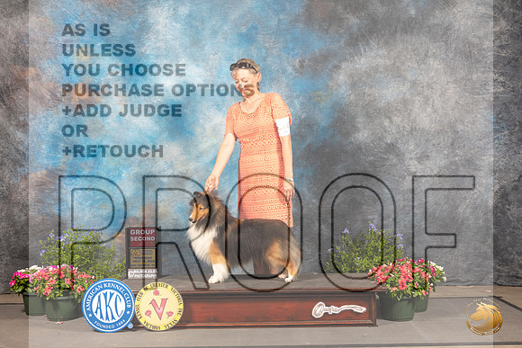 Shetland Sheepdog #19 Thur G3 Judge David Bolus_MJ_0027_SA_2022_HR3