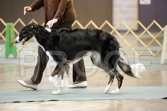 _JN_4543-BeltonJan2015-HR3
