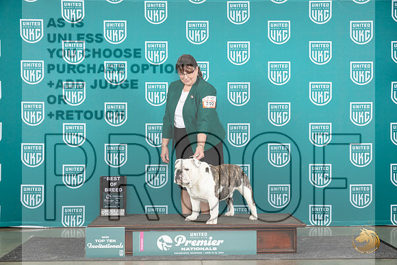 English Bulldog #302 Thurs T10BOB Judge Sharon Griffin__JP_0781_Premier_2024_HR3