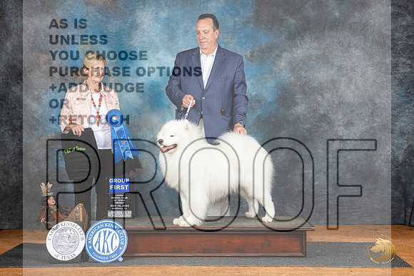 Samoyed #5 Fri G1 Judge Karen Hynnek__JP_7265_MARSHALL_2024_HR3