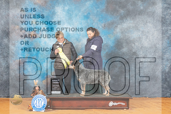 Australian Cattle Dog #7 Sun G3 Judge Cathy Daugherty_MJ_2795_Marshall_2022_HR3