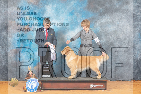 Golden Retriever #30 Sun G4 Judge Richard Powell_MJ_2780_Marshall_2022_HR3