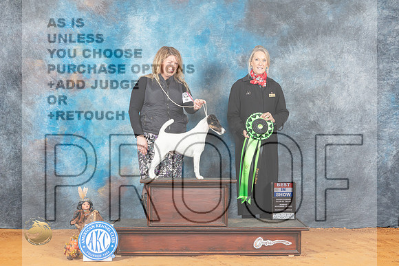 Smooth Fox Terrier #5 Sun BIS Judge Marissa Clark_MJ_2844_Marshall_2022_HR3