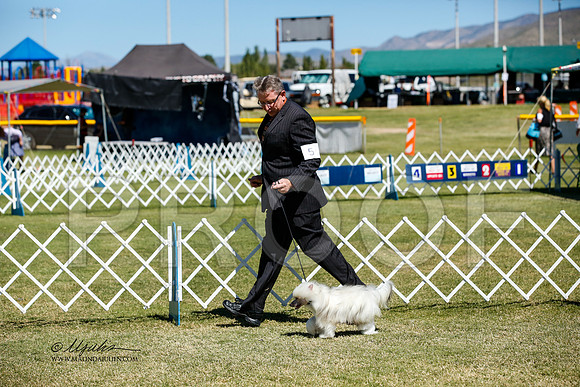 _JJ_3493-AlamogordoOct2014-HR3
