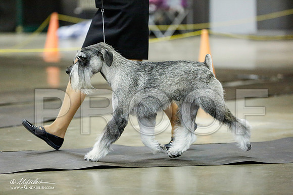 _RH_1866-BeltonJan2015IABCA-HR3