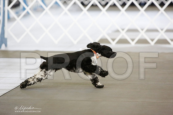 _JN_8649-DallasJul2014-HR3