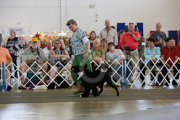 _JJ_1843-DallasJul2014-HR3