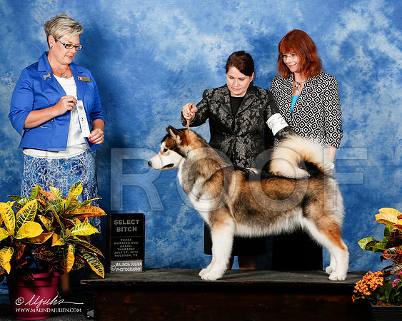 _ST_8112-2-HstnJul14-HR3