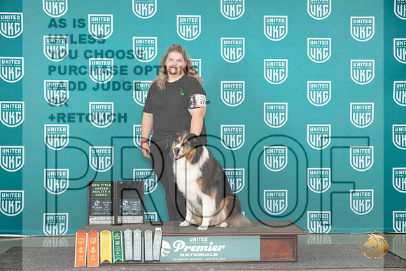 English Shepherd #477__JP_2989_Premier_2024_HR3