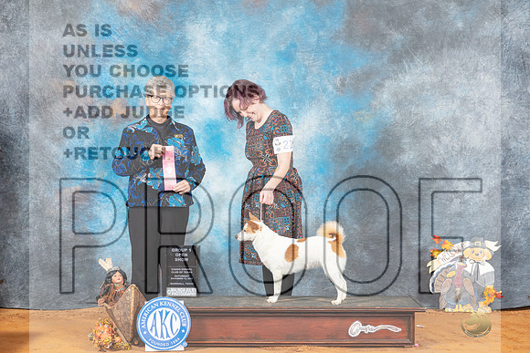 Norrbettenspets #216 Sat OG1 Judge Nancy Talbott-_MJ_2083e_Marshall_2022-HR3