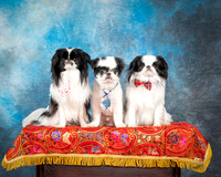 Jan Lockyer Marshall 2022