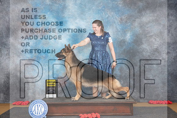 German Shepherd #5 Sun G3 Judge Beth Downey__JP_0807_Sulphur Springs_2024_HR3