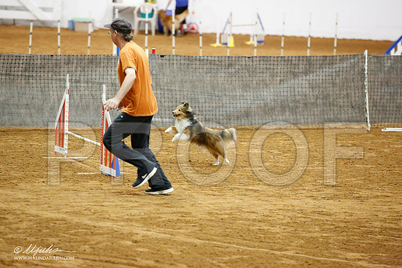 _JJ_7608-FWAgilJun2015-HR3