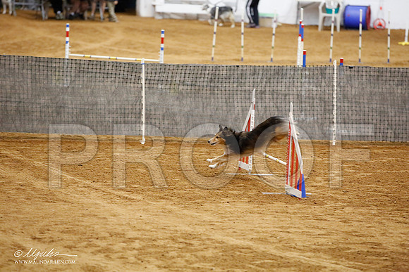 _JJ_7536-FWAgilJun2015-HR3
