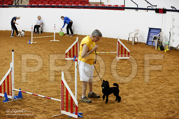 _JJ_7853-FWAgilJun2015-HR3