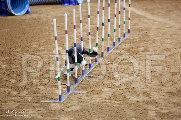 _JJ_7924-FWAgilJun2015-HR3
