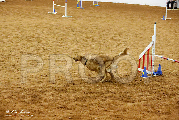 _JJ_8691-FWAgilJun2015-HR3